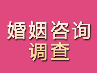 新平婚姻咨询调查